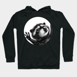 Pedro the Racoon Hoodie